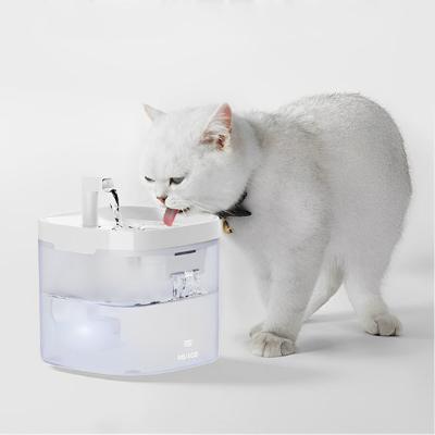 fontaine-a-eau-chat-blanc-qui-boit