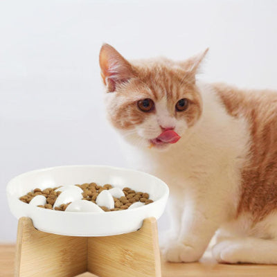 gamelle-anti-glouton-avec-chat-roux-et-blanc