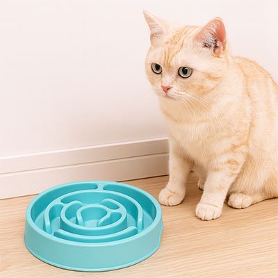 gamelle-anti-glouton-chat-efficace