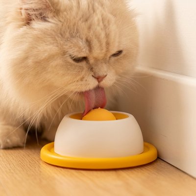 gamelle-anti-glouton-chat-jaune