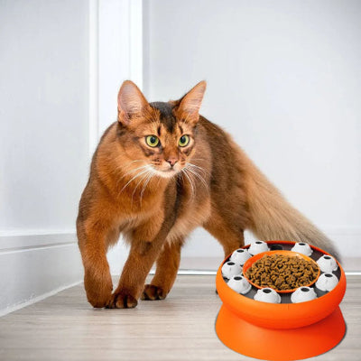 chat-aux-yeux-verts-approche-sa-gamelle-anti-glouton