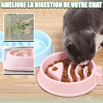 gamelle-anti-glouton-chat-jolie