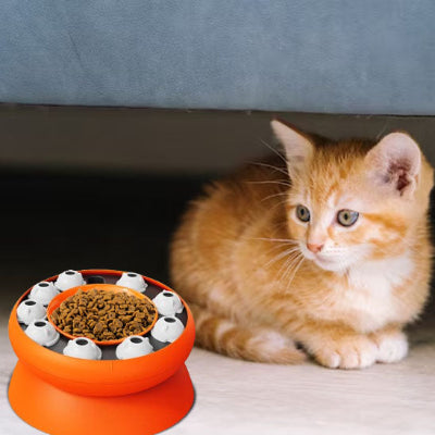 chaton-roux-assis-près-de-sa-gamelle-anti-glouton-orange