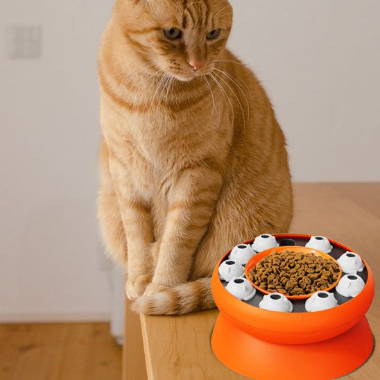 Gamelle anti glouton chat| Interact'Food™