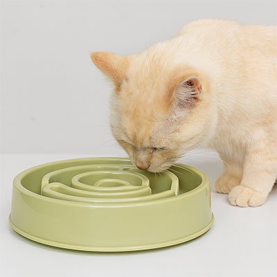 gamelle-anti-glouton-chat-verte