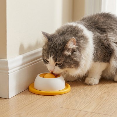 gamelle-anti-glouton-chat