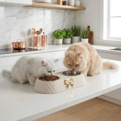 gamelle-chat-design