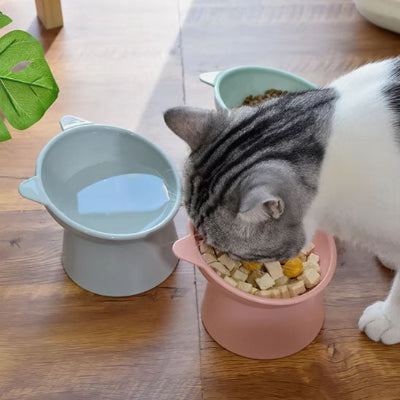 gamelle-chat-surelevee-ergonomique
