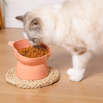 chat-blanc-qui-mange-dans-sa-gamelle-surélevée-rose