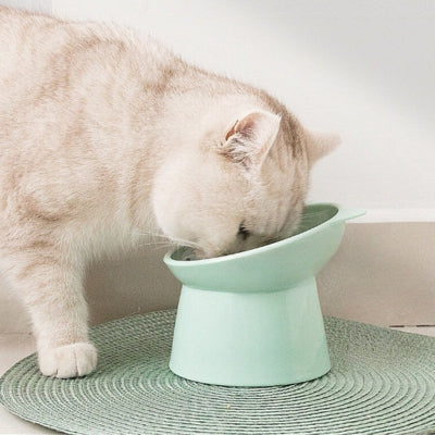 chat-blanc-qui-mange-dans-sa-gamelle-surélevée-verte