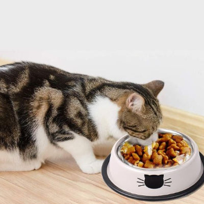 gamelle-pour-chat-spécial-chaton