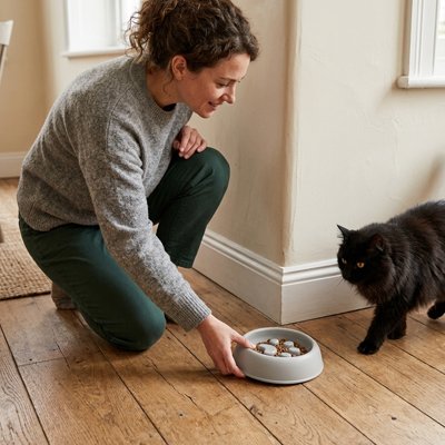 gamelles-anti-glouton-chat-design