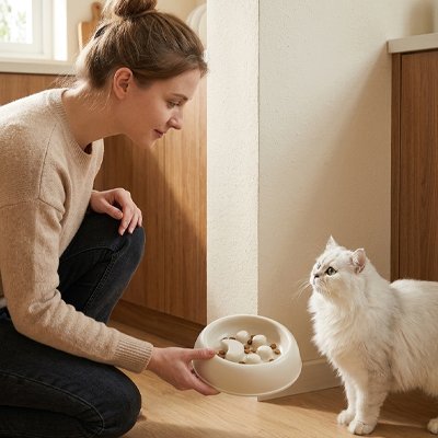 gamelles-anti-glouton-chat-durable
