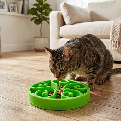 gamelles-anti-glouton-chat-durables