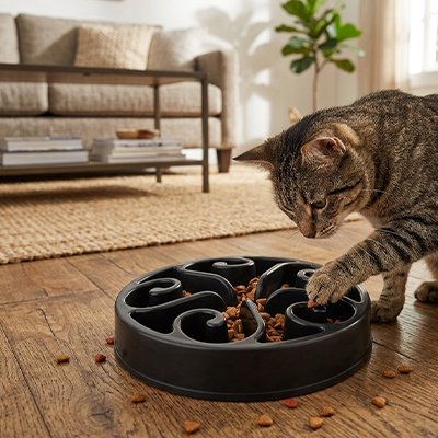 gamelles-anti-glouton-chat-noire