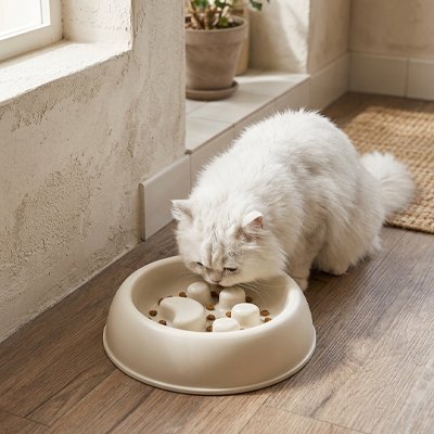 gamelles-anti-glouton-chat