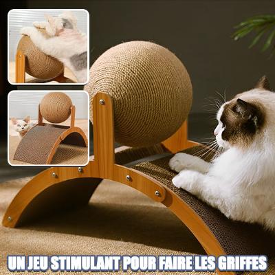 griffoir-chat-2-en-1