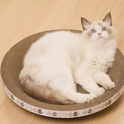 griffoir-chat-amusant