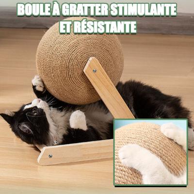 griffoir-chat-boule