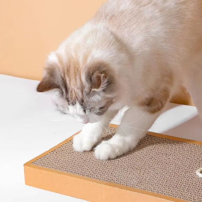 griffoir-chat-carton-amusant