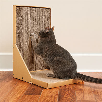 chat-gris-fait-ses-griffes-sur-son-griffoir