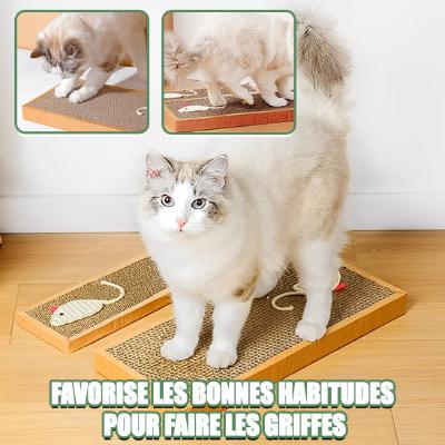 griffoir-chat-carton-solide