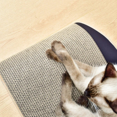 griffoir-chat-carton-stimulant