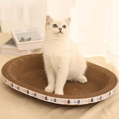 griffoir-chat-detente