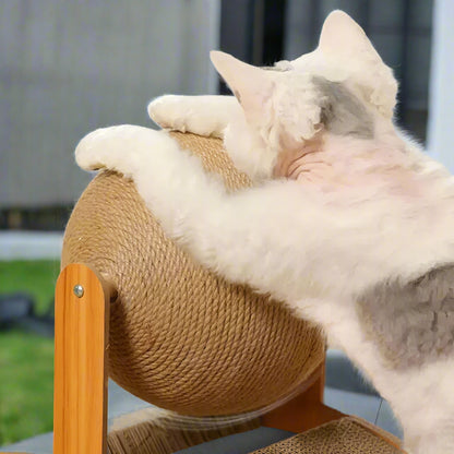 griffoir-chat-durable