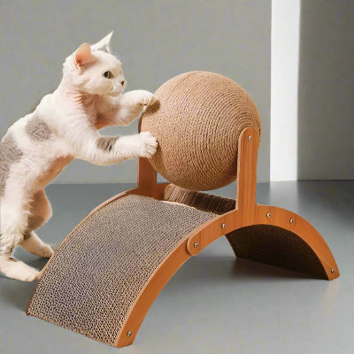griffoir-chat-economique
