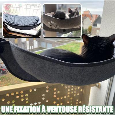 hamac-chat-solide