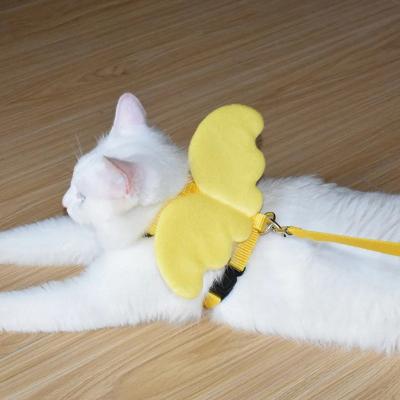 harnais-chat-jaune