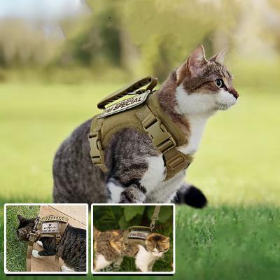 harnais-pour-chat-securite