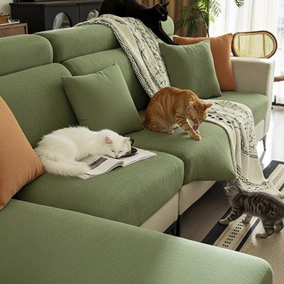 housse-protection-canapé-chat-sûr