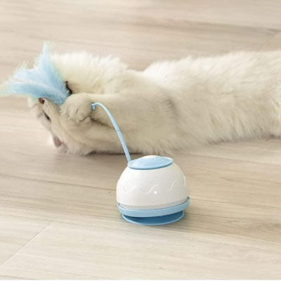 chat-blanc-mord-avec-son-jouet-interactif-plume