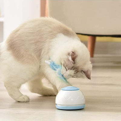 chat-blanc-joue-avec-son-jouet-interactif-plume