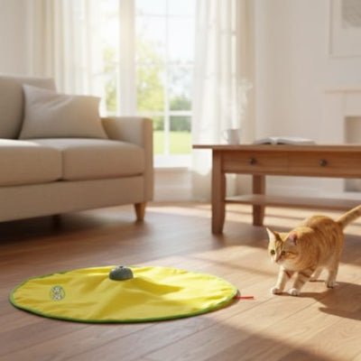 jouet-interactif-chat-amusant