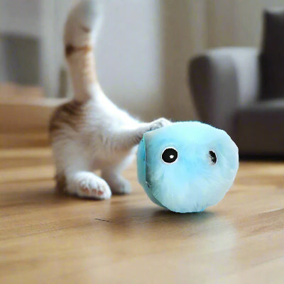jouet-pour-chat-bleu-et-sonore