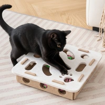 jouets-interactifs-pour-chat-3-en-1