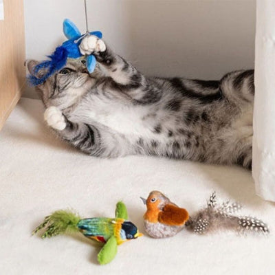 chat-qui-joue-avec-son-jouet-oiseau