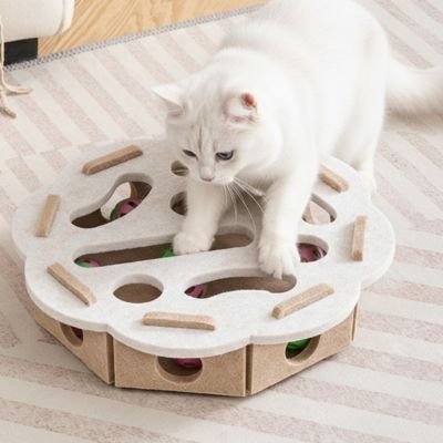 jouets-interactifs-pour-chat-intelligent