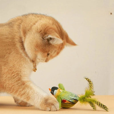 chat-roux-joue-avec-jouet-interactif-oiseau