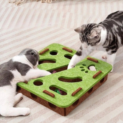 Jouets interactifs pour chat | 3-en-1