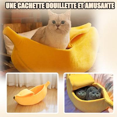 niche-pour-chat-cocon