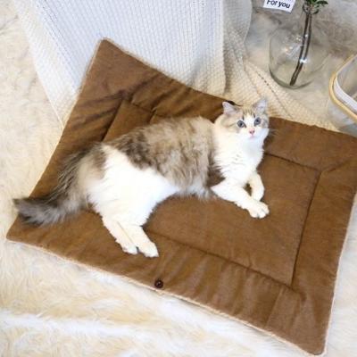 chat-aux-yeux-bleus-allongé-dans-son-panier-pour-chat-déplié-beige-et-tout-doux