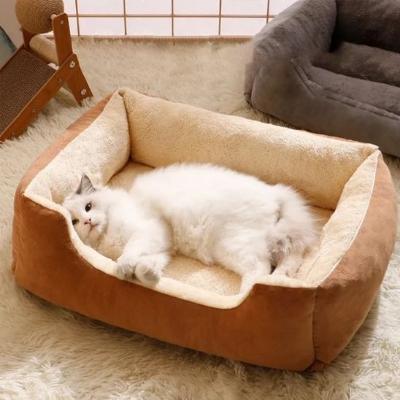 chat-blanc-à-poils-longs-allongé-sur-le-côté-dans-son-panier-mooelleux-marron-et-beige