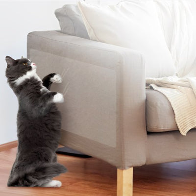 protection-canapé-chat-adhésif