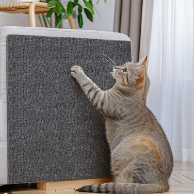 protection-canapé-chat-adhésif