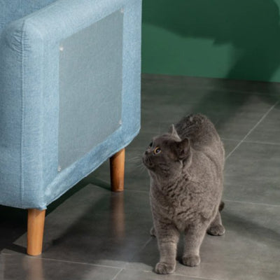 protection-canapé-chat-efficace