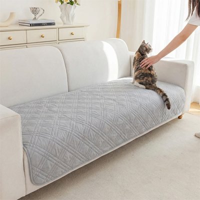 protection-canapé-chat-gris-clair